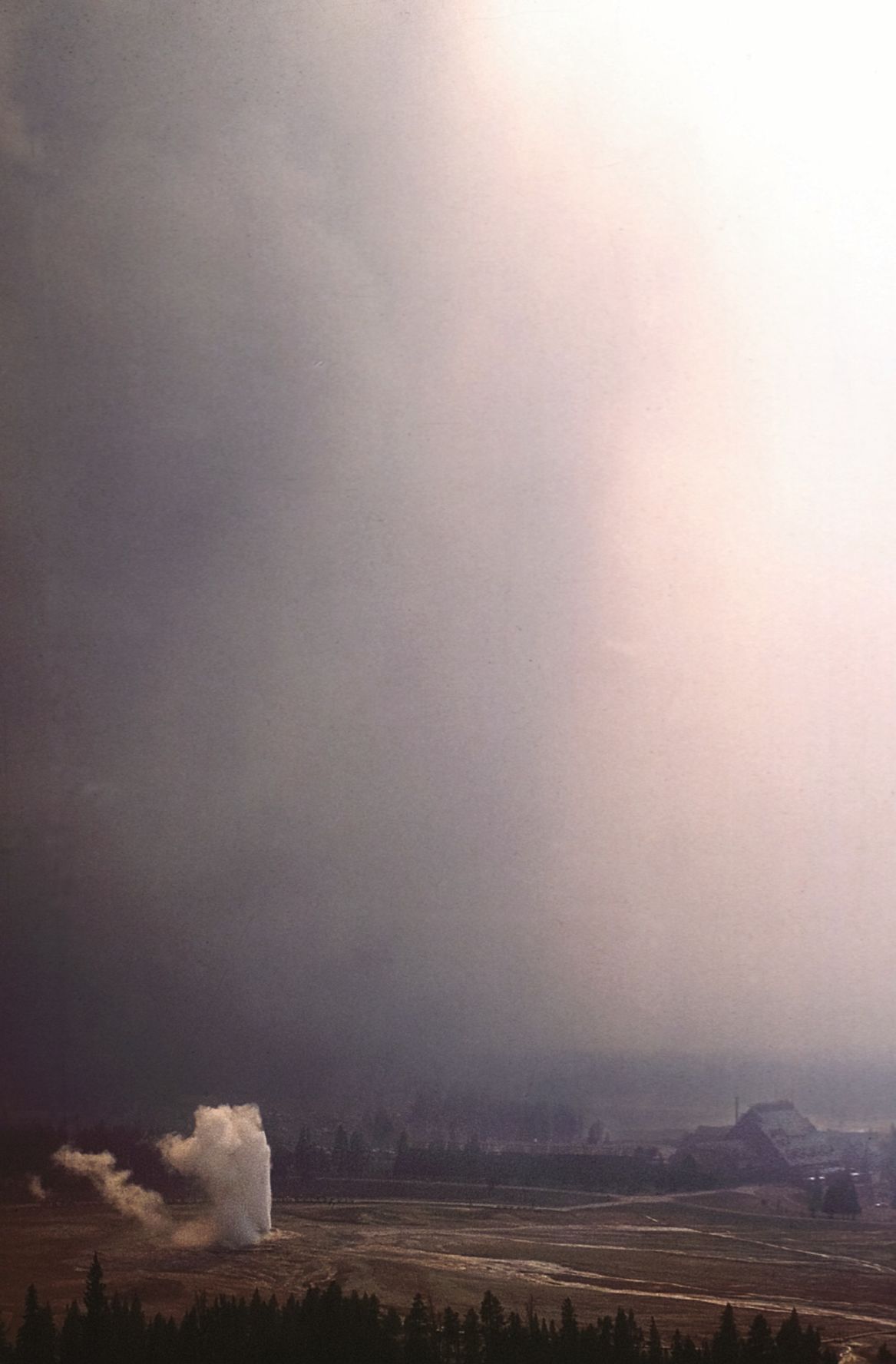 Old Faithful 1988